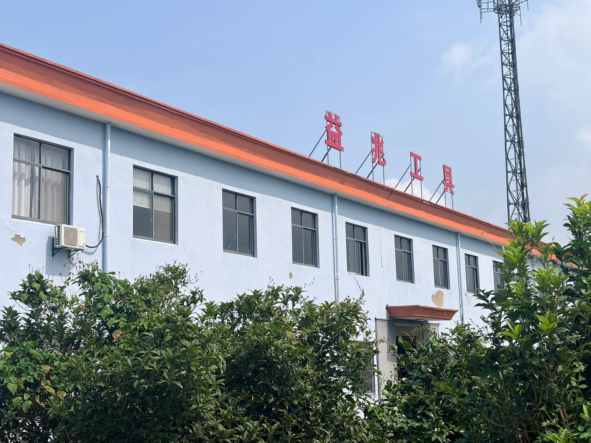 Company summary